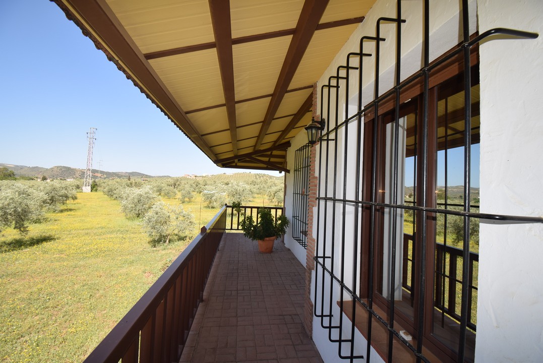 Large Finca with attractive single storey dwelling