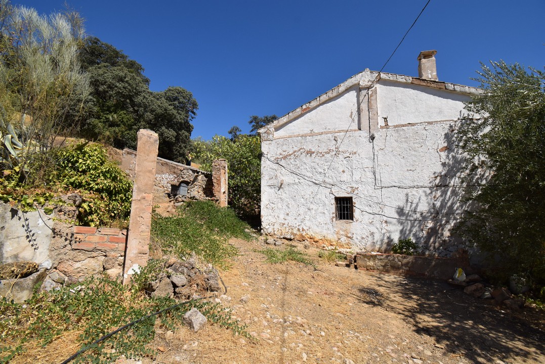 在西班牙安达卢西亚出售的乡村别墅 CORTIJO ANDALUZ