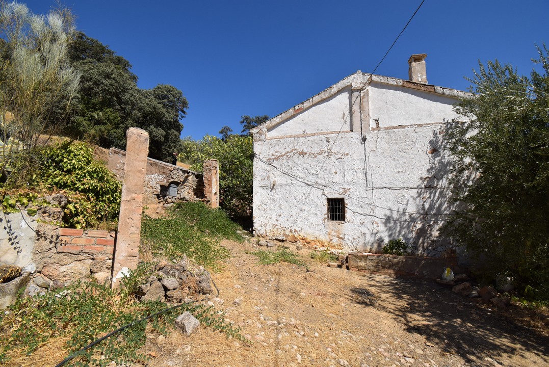 在西班牙安达卢西亚出售的乡村别墅 CORTIJO ANDALUZ