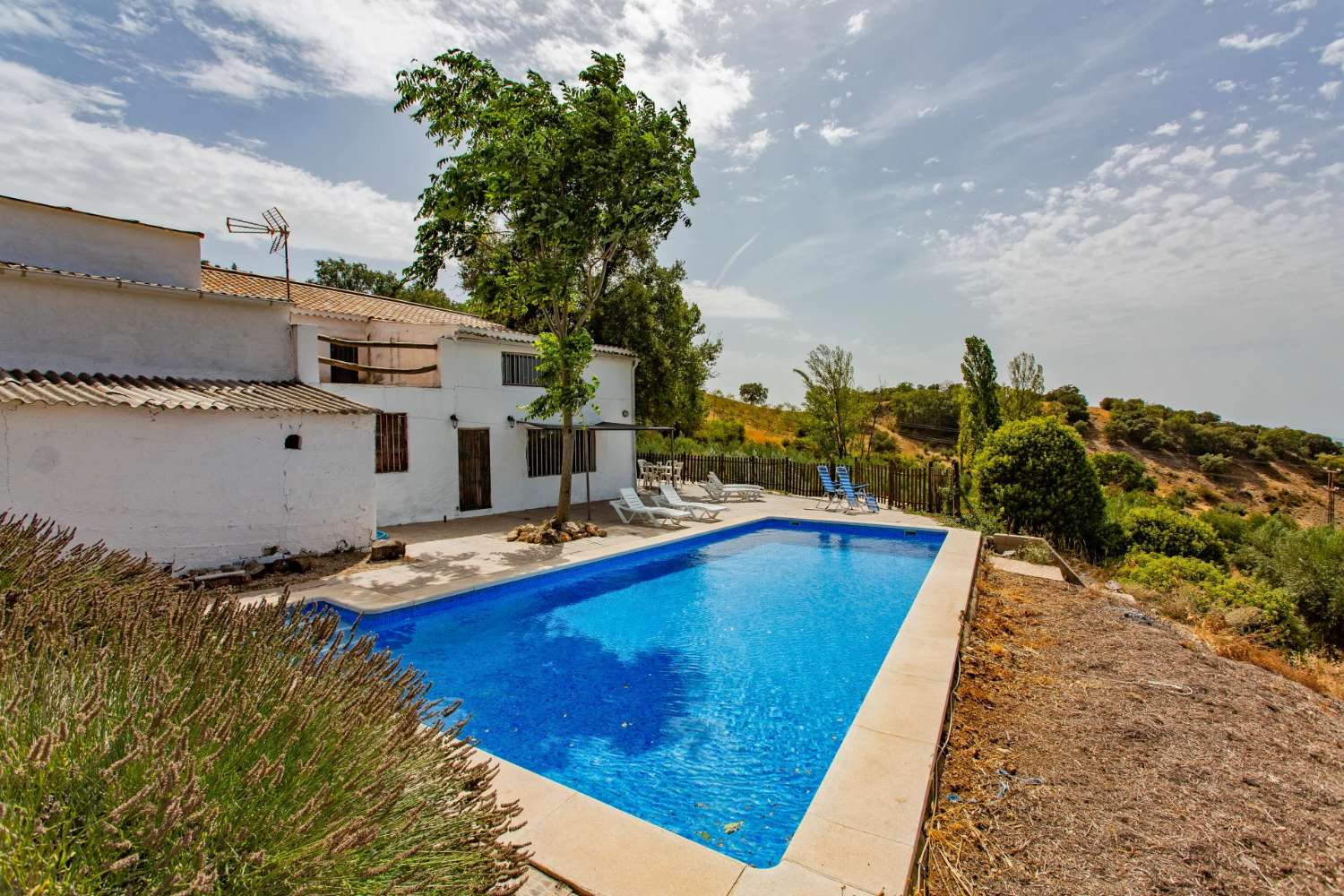 特色小屋安达卢西亚科尔蒂霍，可欣赏泳池和壮丽景色