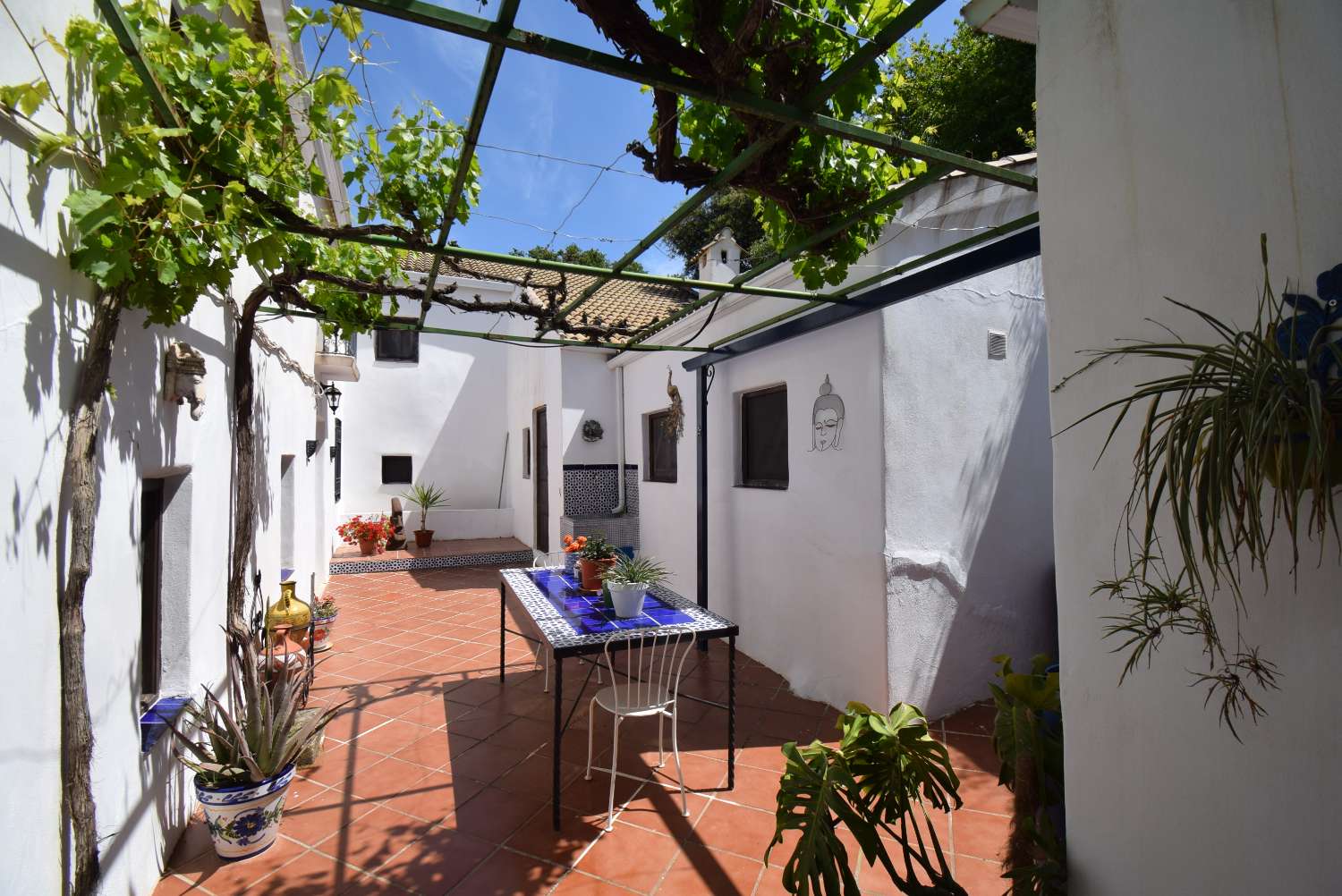Persoonallinen andalusialainen maalaistalo, jossa on 2 erillistä huoneistoa