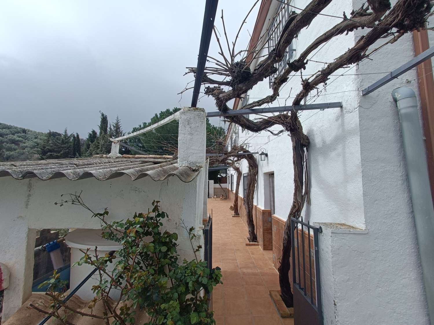 Lovely 5 bed detached country home in a peaceful location, good access and all main services