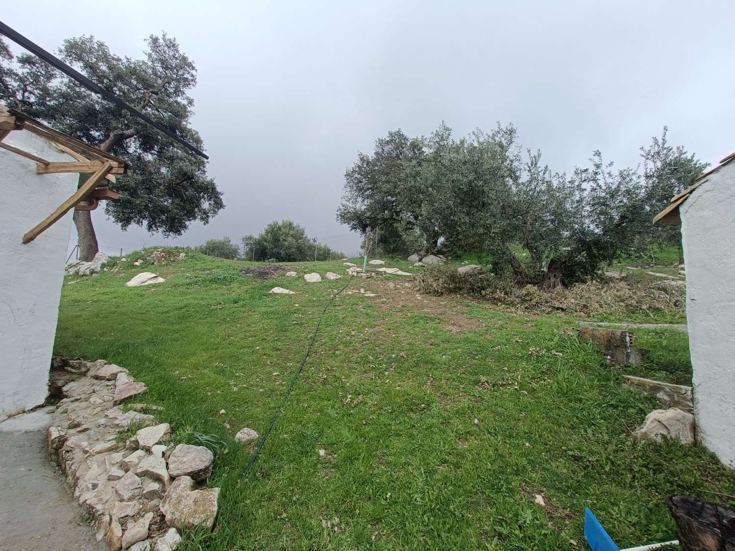 Lovely 5 bed detached country home in a peaceful location, good access and all main services