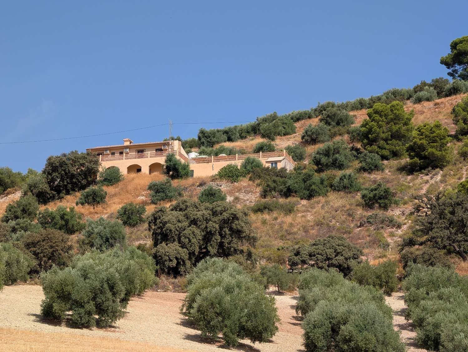 Fantastic country home with Spectacular views toward the Sierra Nevada