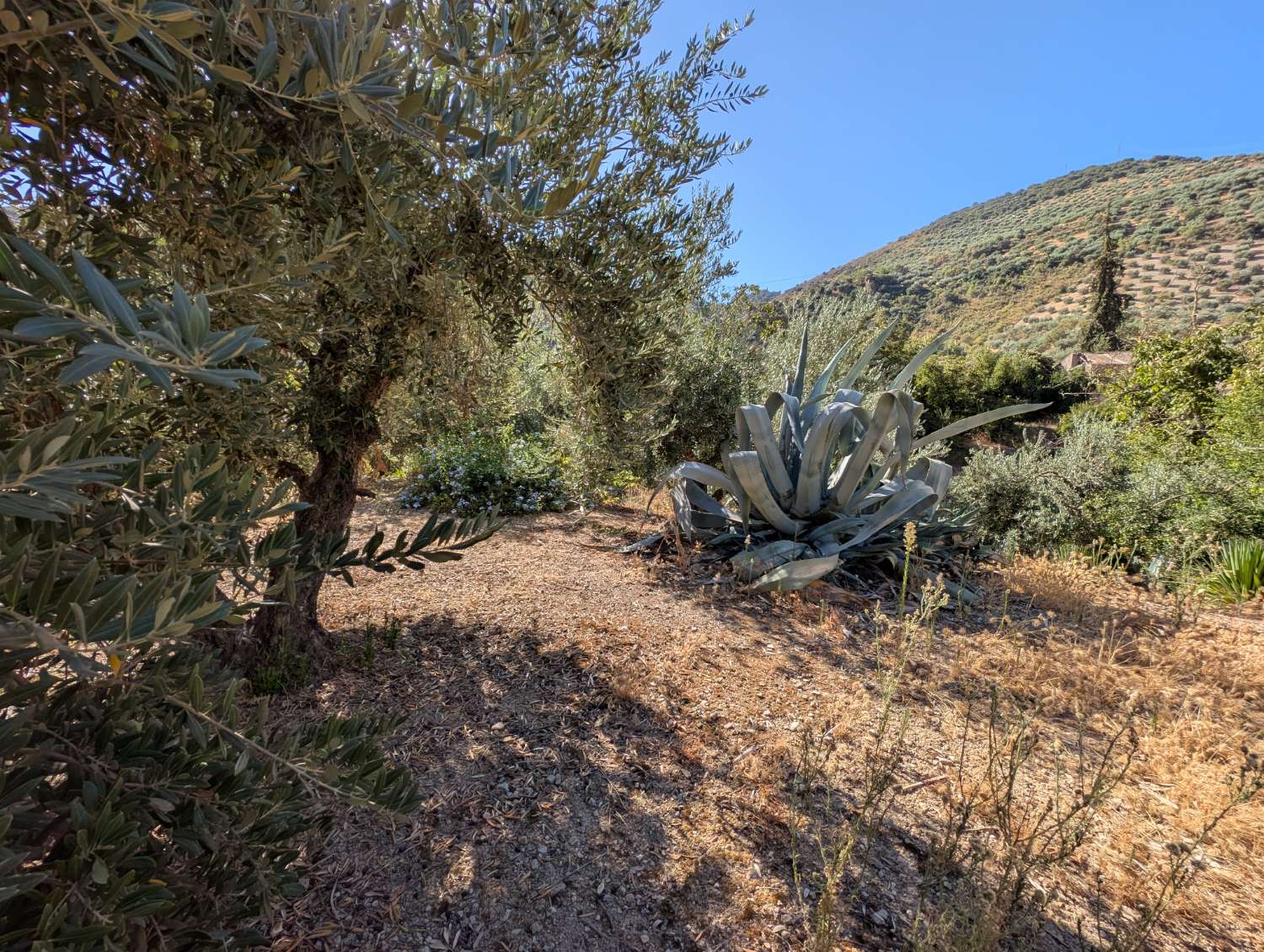 Casa en venda in Algarinejo