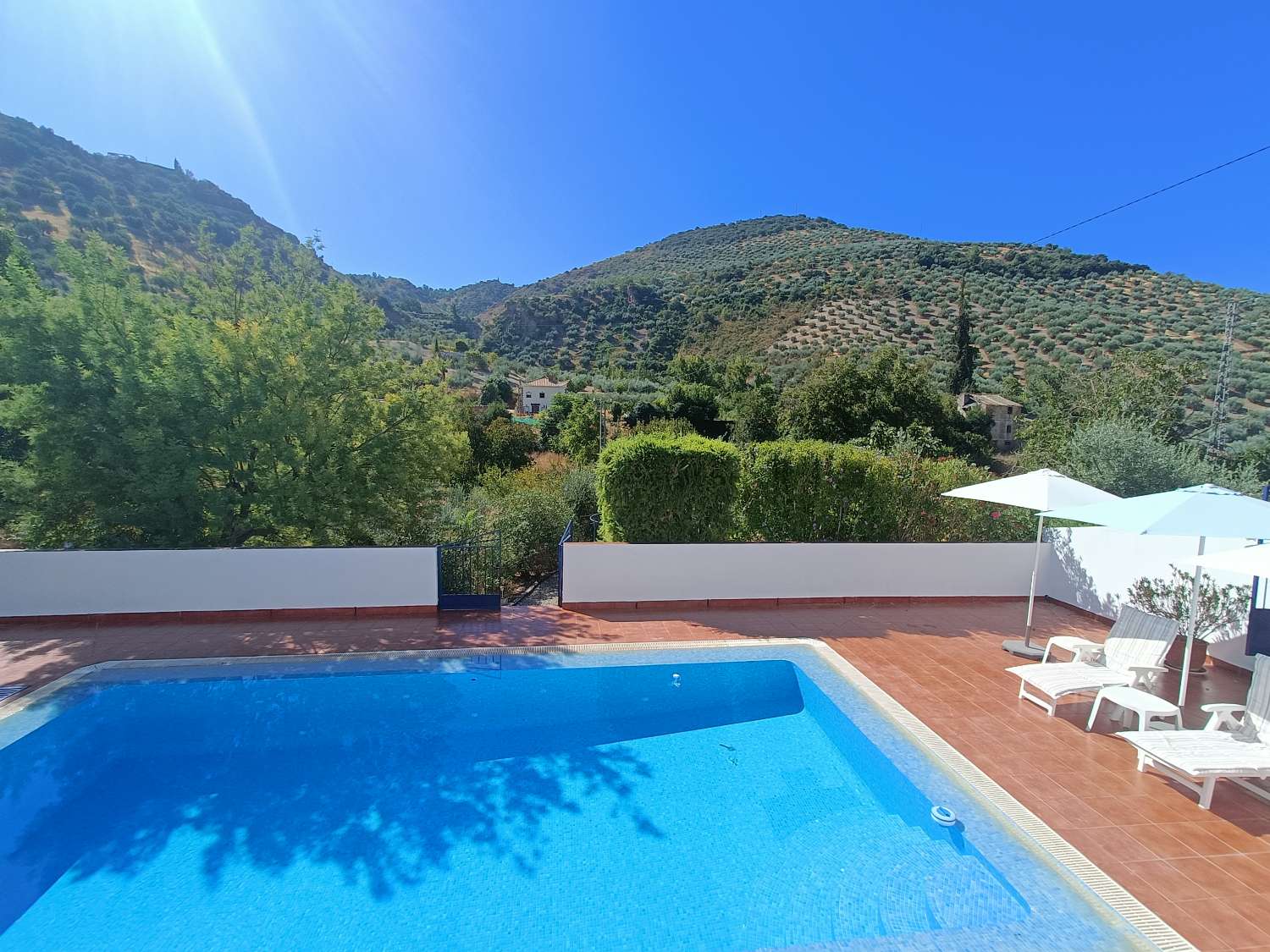 Woning te koop in Algarinejo