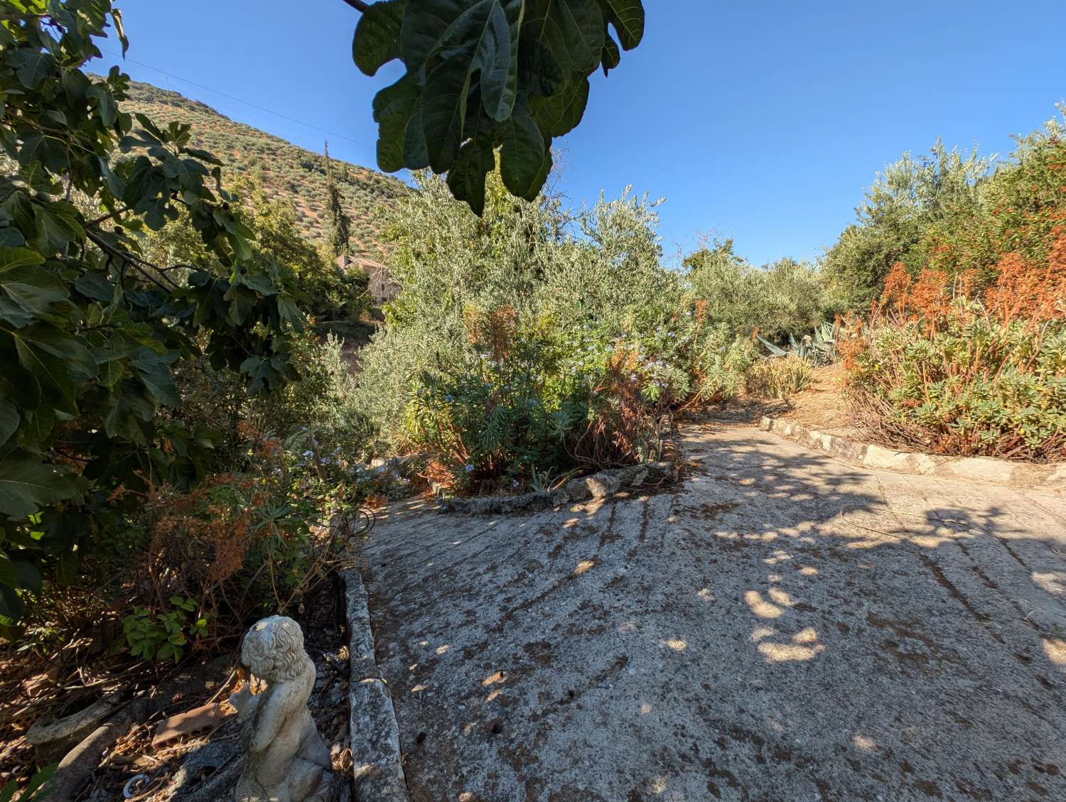 Casa en venda in Algarinejo