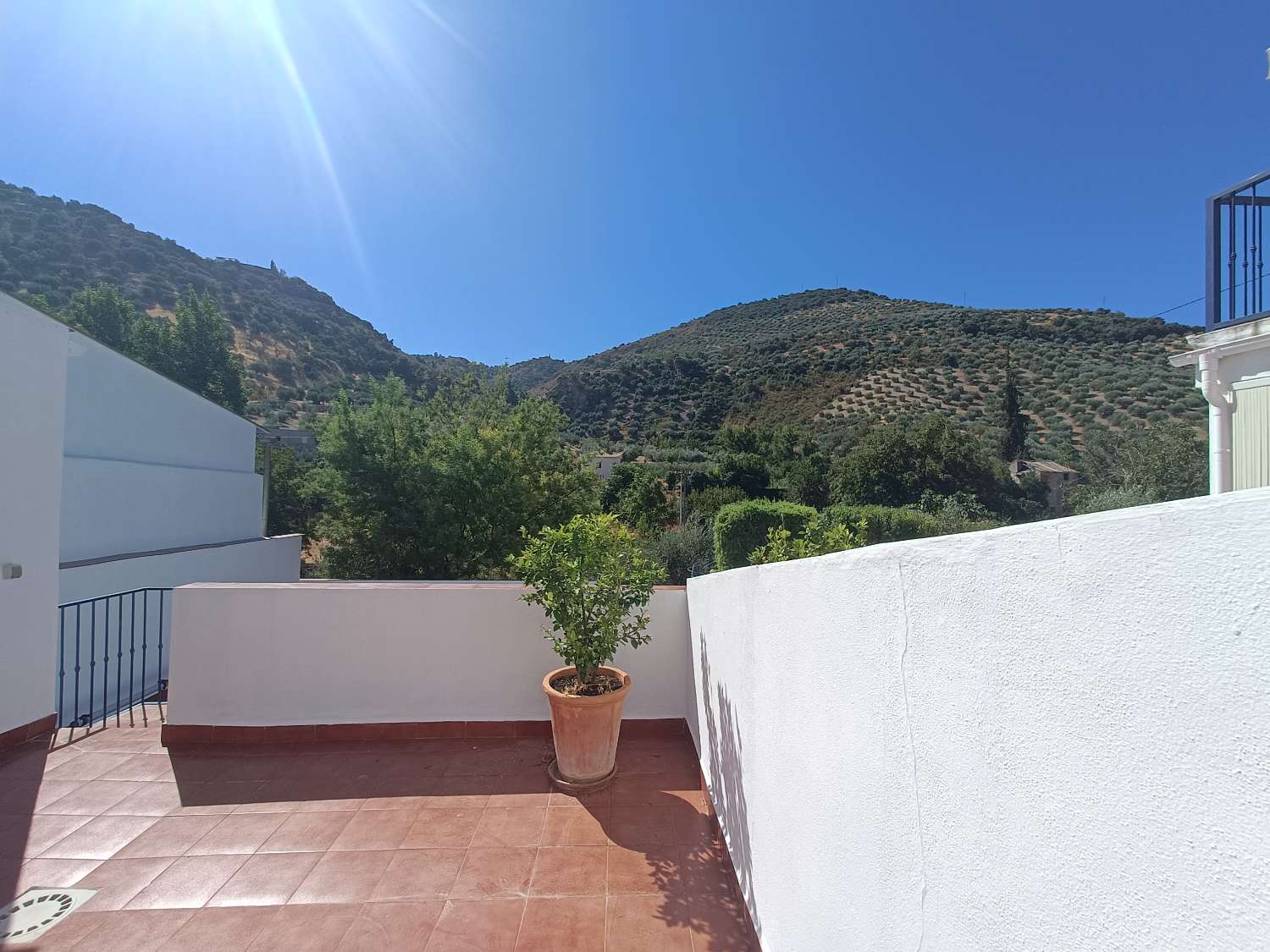 Woning te koop in Algarinejo