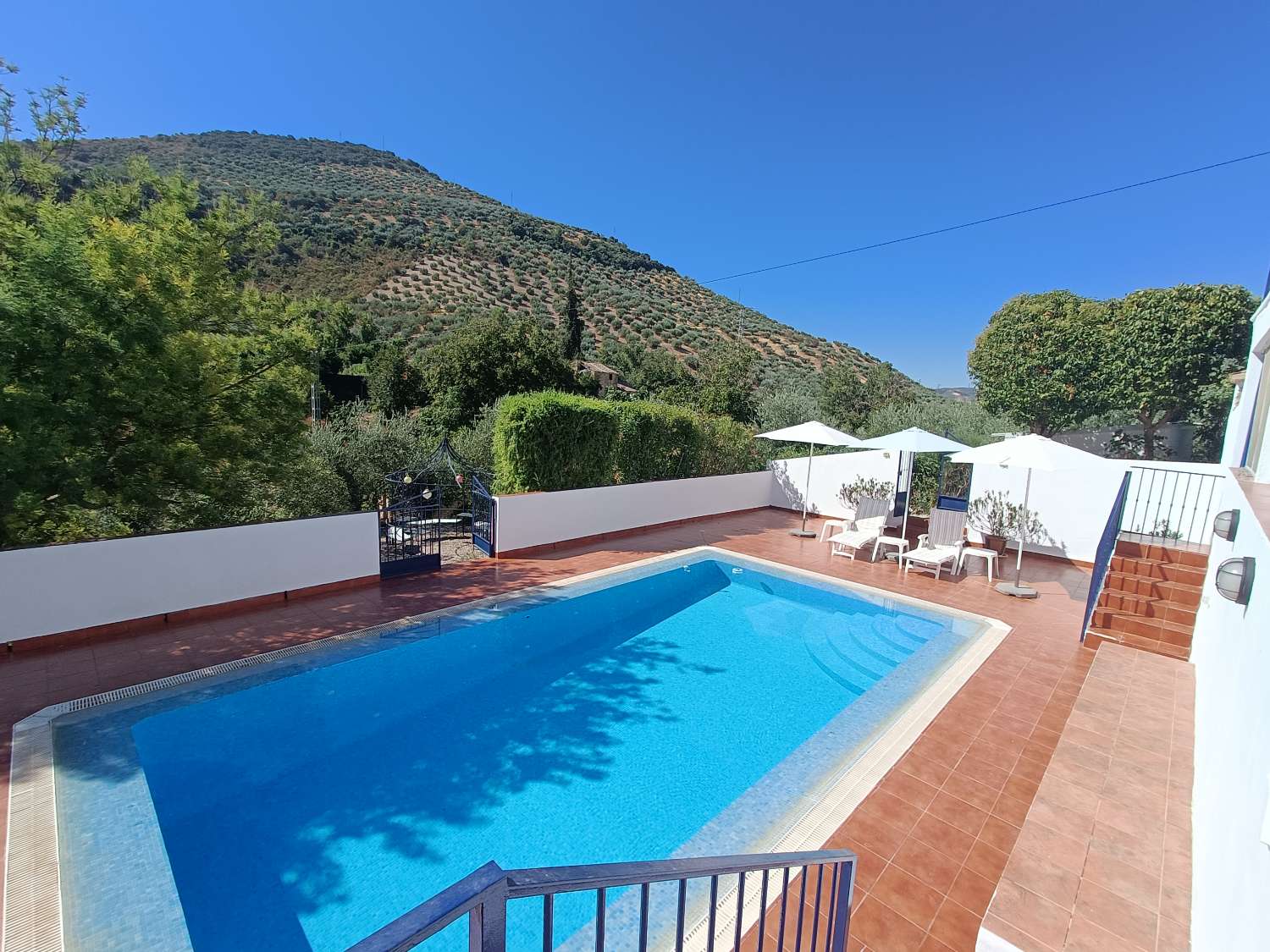 Woning te koop in Algarinejo