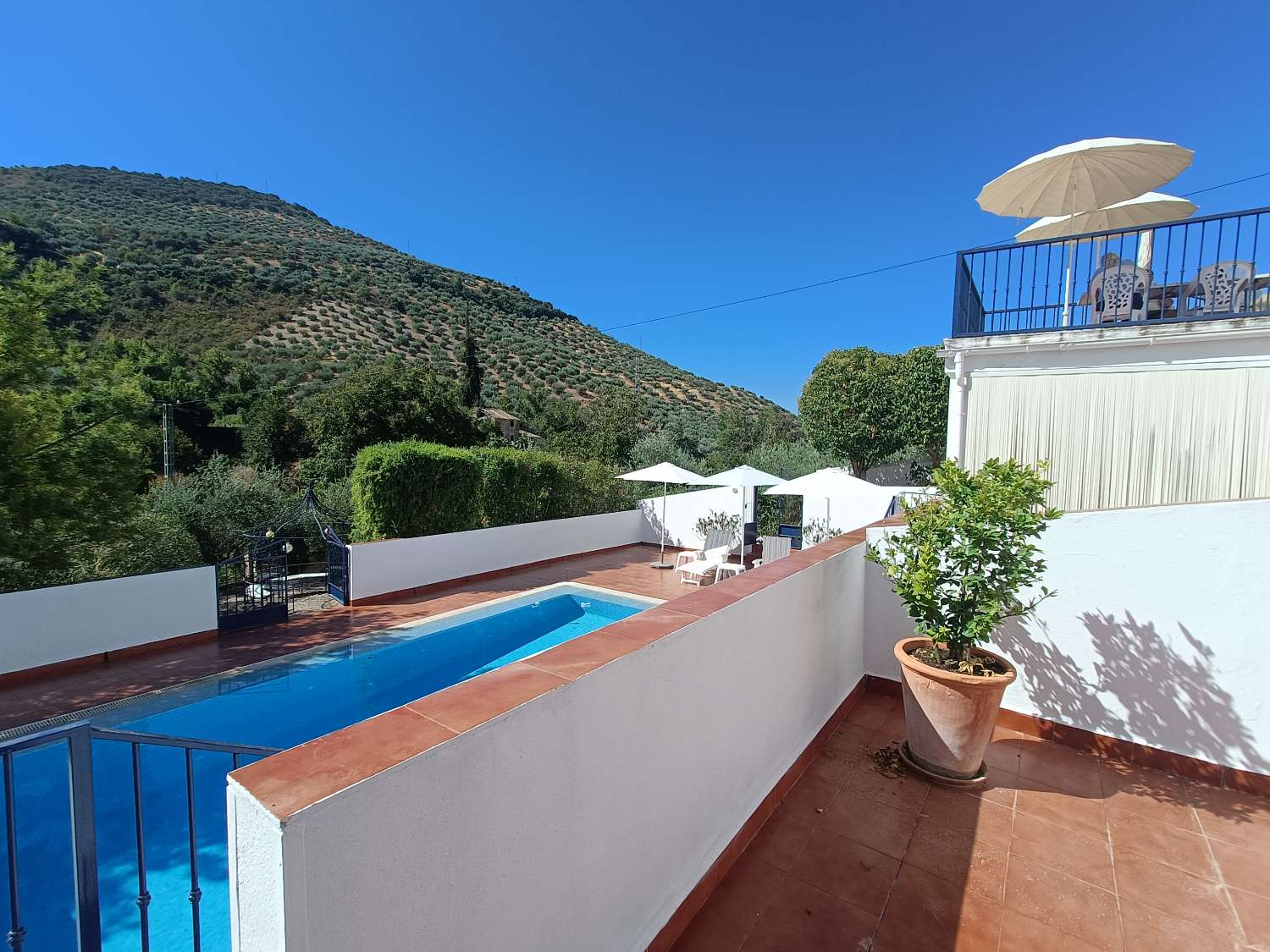 Woning te koop in Algarinejo