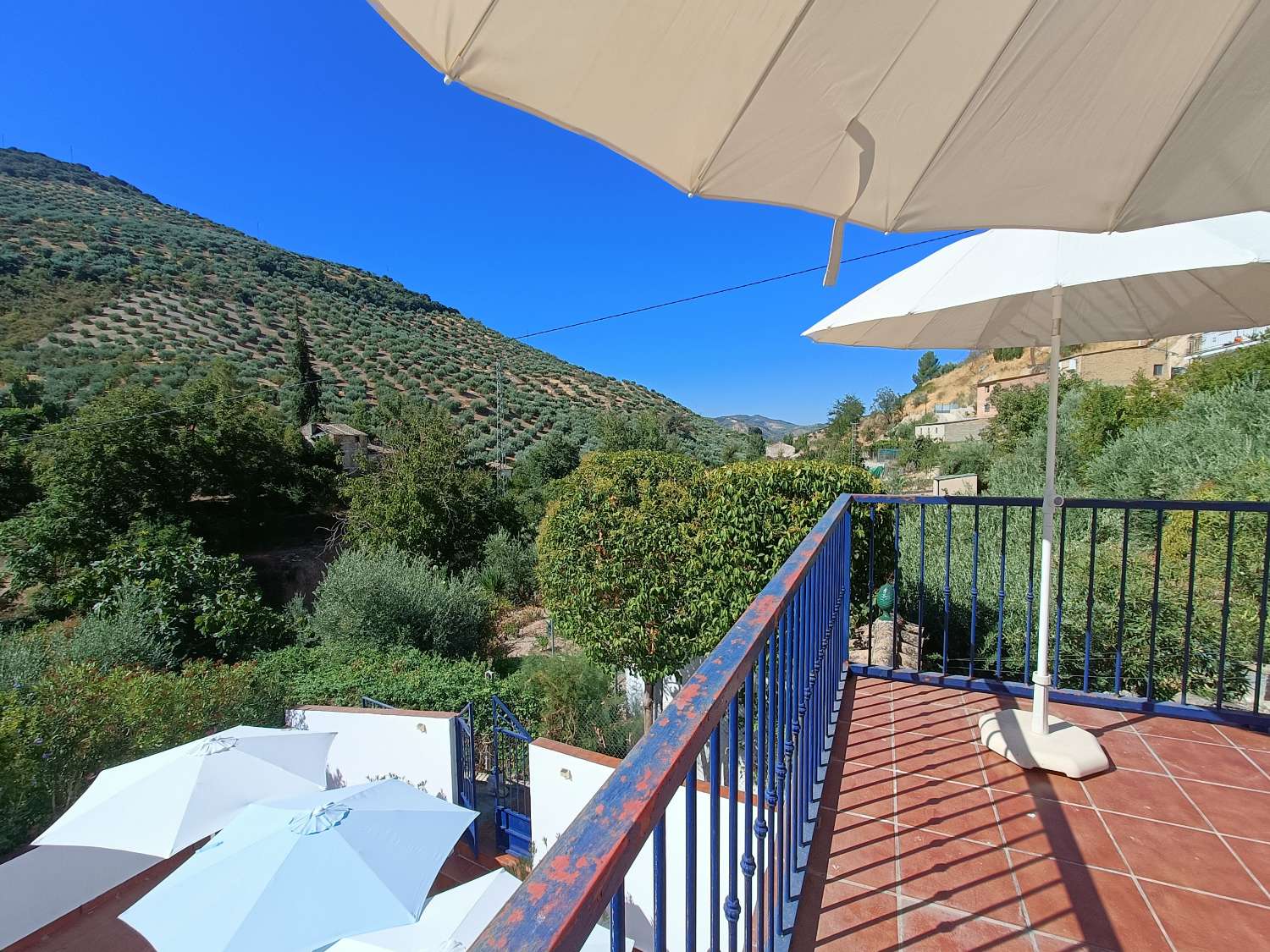 Woning te koop in Algarinejo