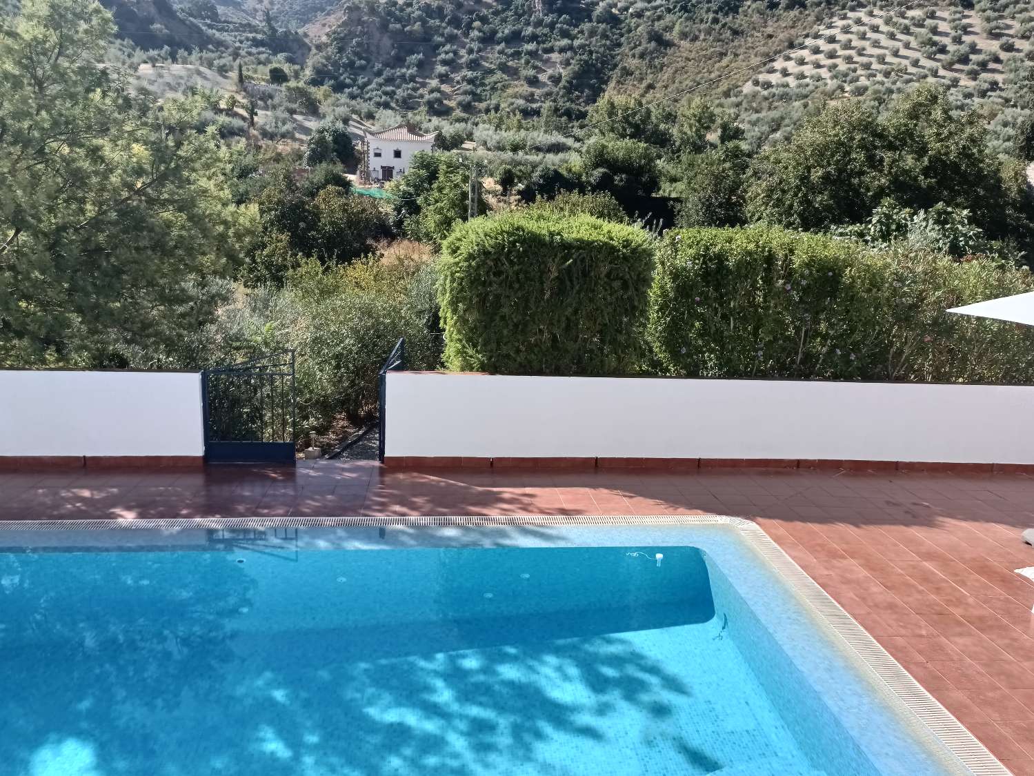 Woning te koop in Algarinejo