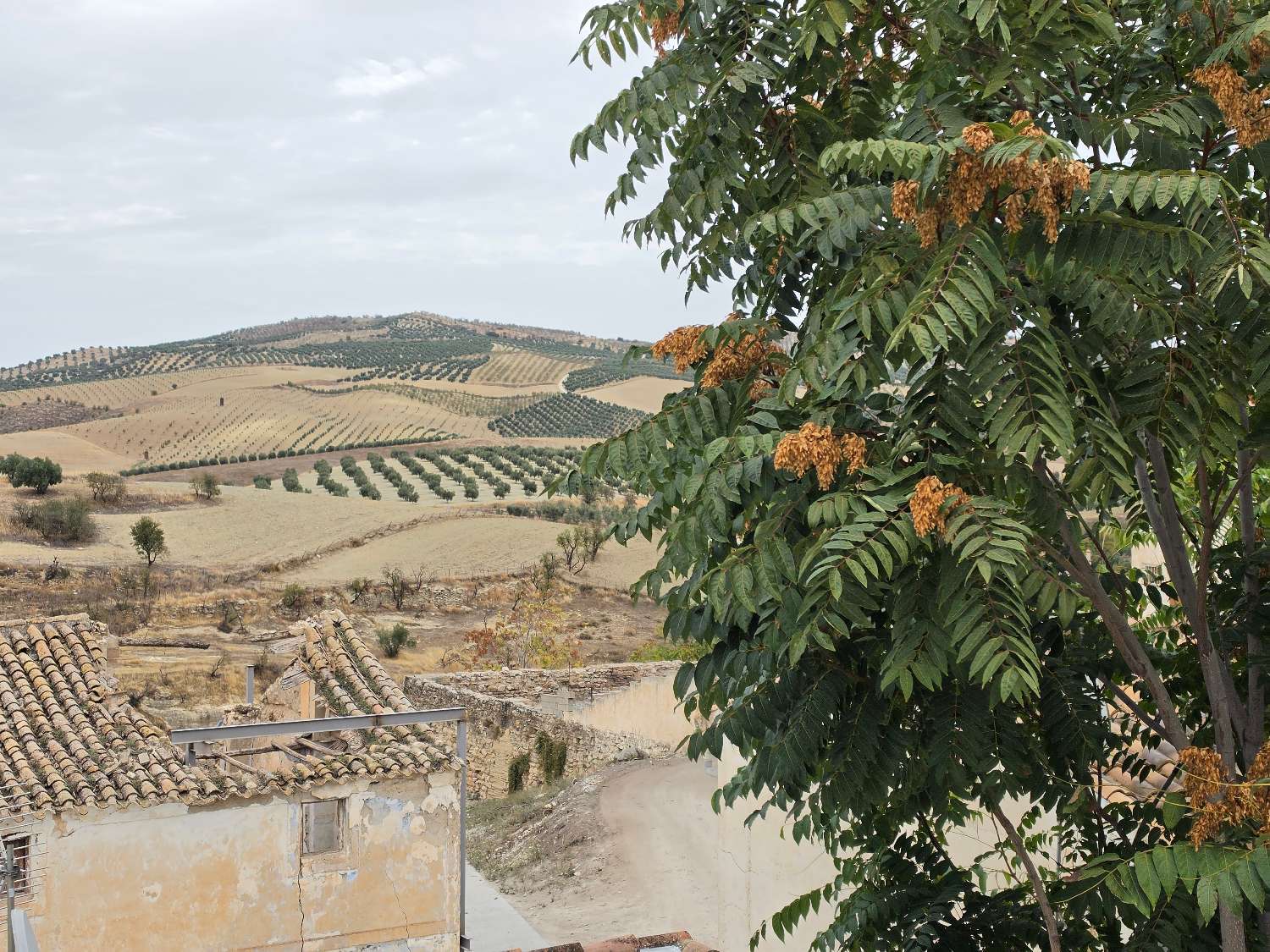 Talo myynnissä Alhama de Granada