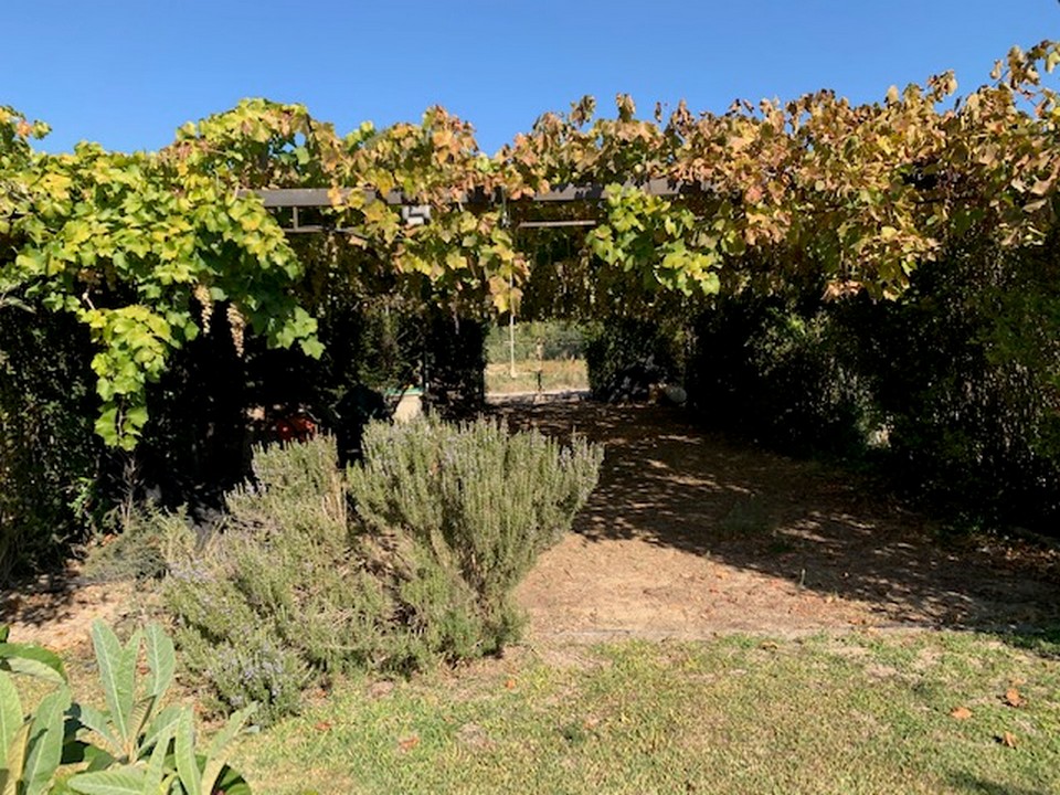 CASA RURALE INDIPENDENTE CON PISCINA E TANTO TERRENO