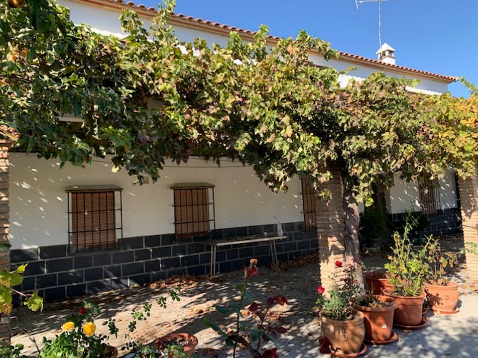 CASA RURALE INDIPENDENTE CON PISCINA E TANTO TERRENO