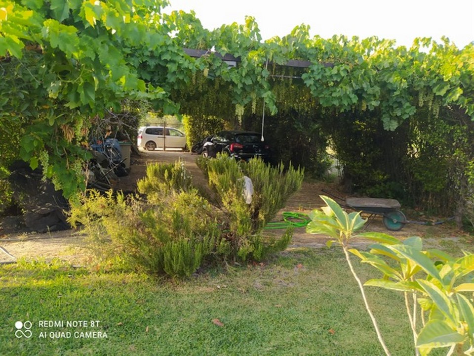 CASA RURALE INDIPENDENTE CON PISCINA E TANTO TERRENO