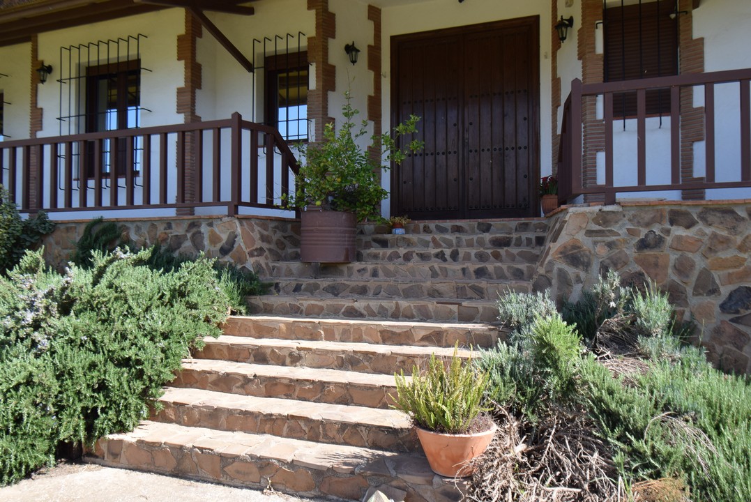 Grande Finca con attraente abitazione a un piano