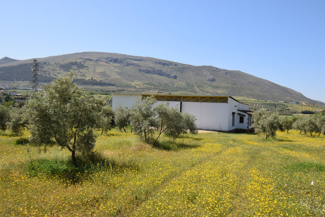 Grande Finca avec jolie maison de plain-pied