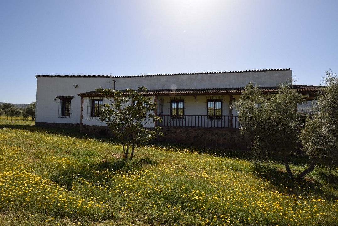 Large Finca with attractive single storey dwelling