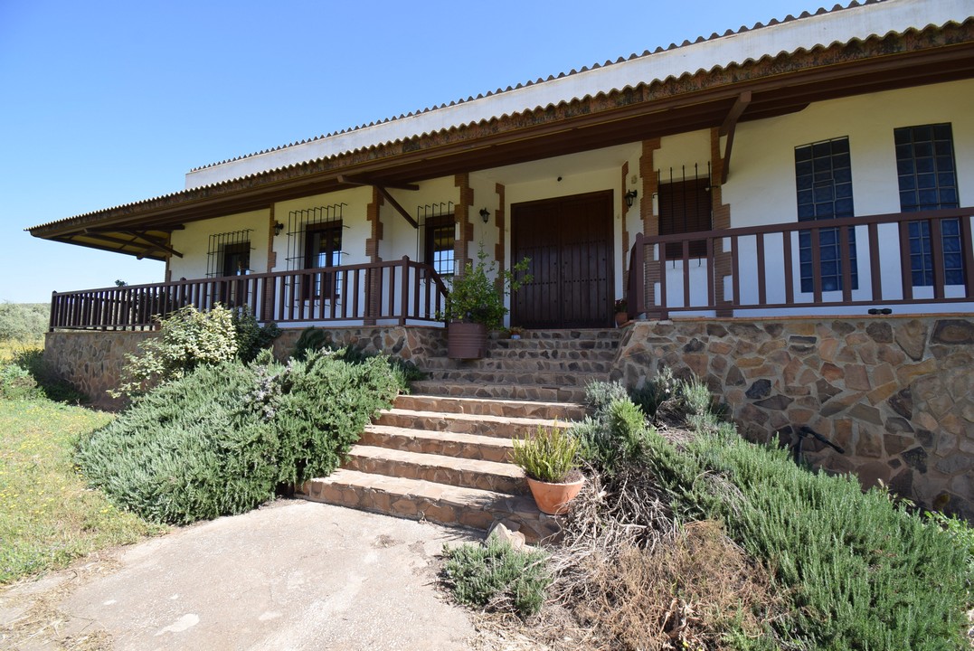 Amplia finca con atractiva vivienda de una sola planta