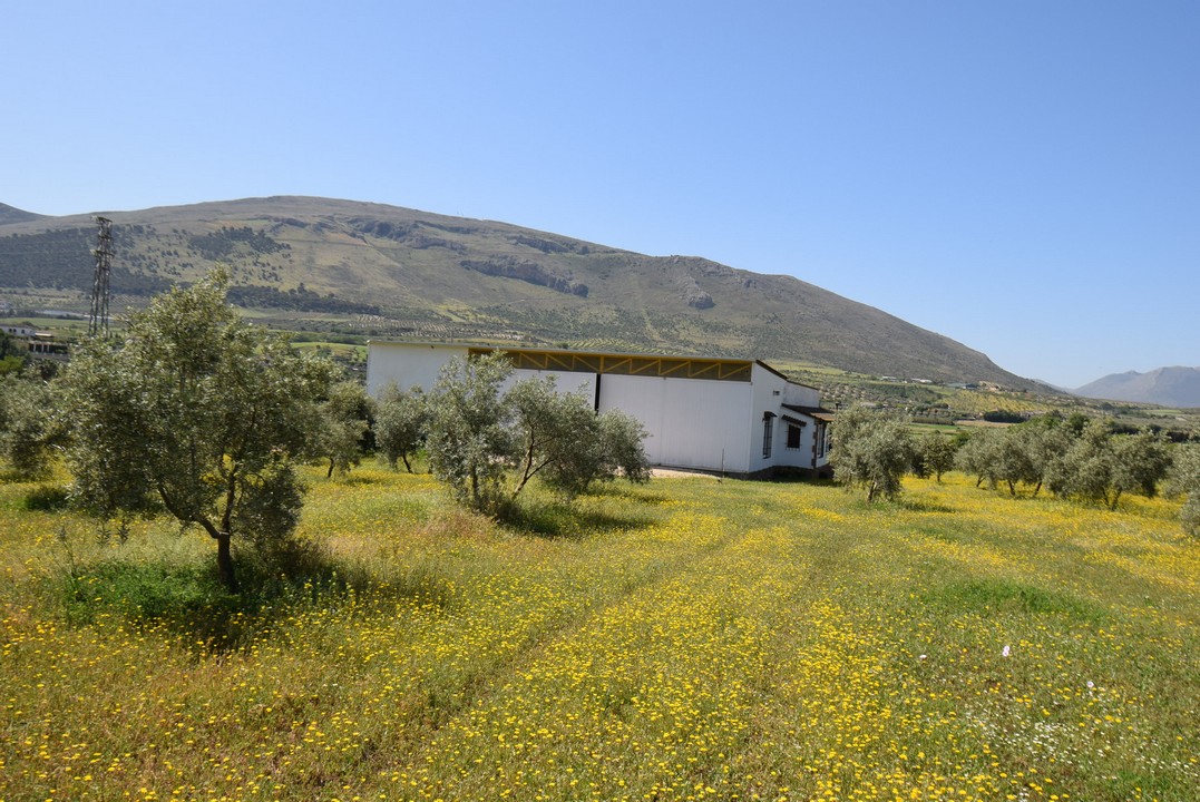 Large Finca with attractive single storey dwelling