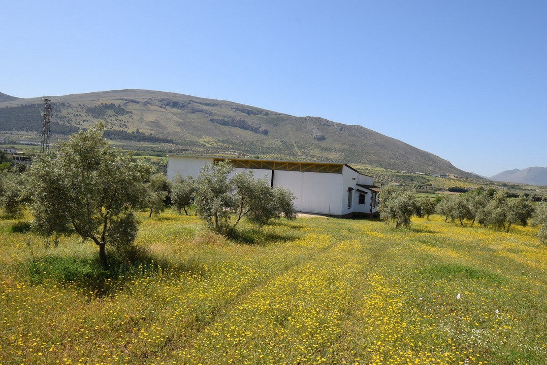 Amplia finca con atractiva vivienda de una sola planta