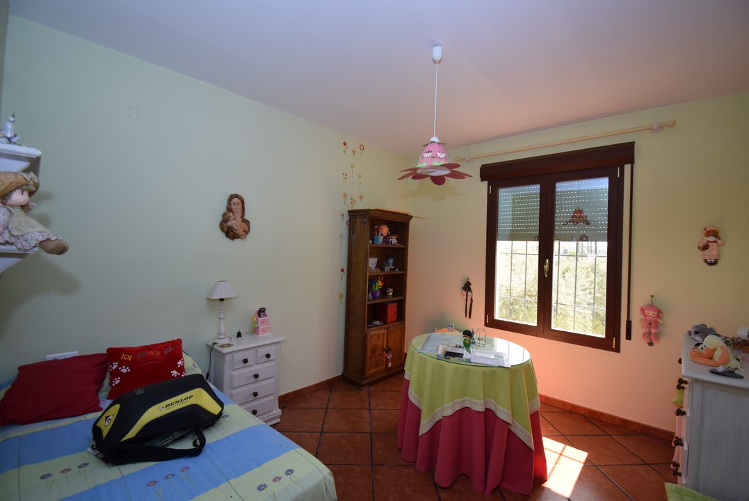 Large Finca with attractive single storey dwelling