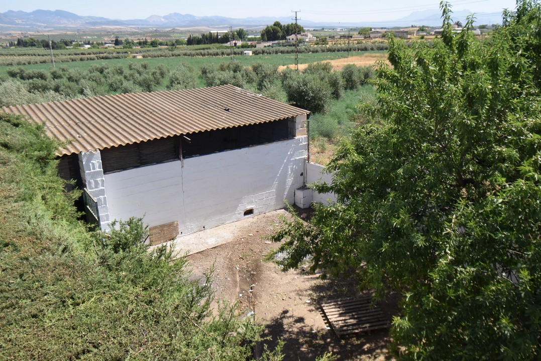 BELLISSIMA CASA DI CAMPAGNA CON MOLTO FASCINO E TANTE POSSIBILITA&#39;...