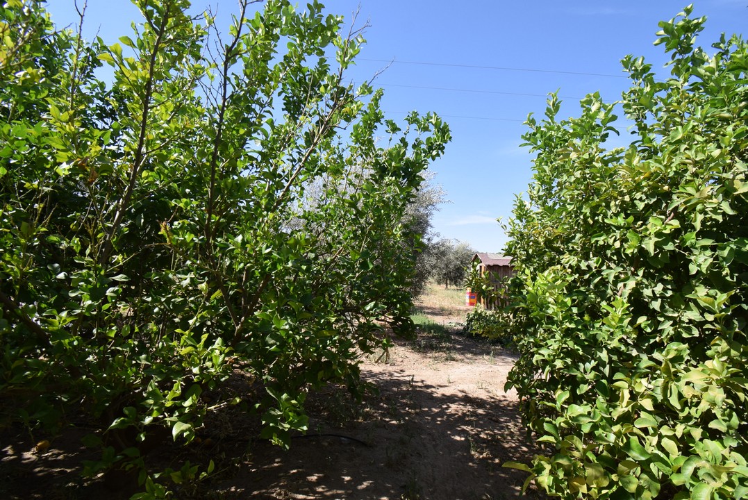 BELLISSIMA CASA DI CAMPAGNA CON MOLTO FASCINO E TANTE POSSIBILITA&#39;...