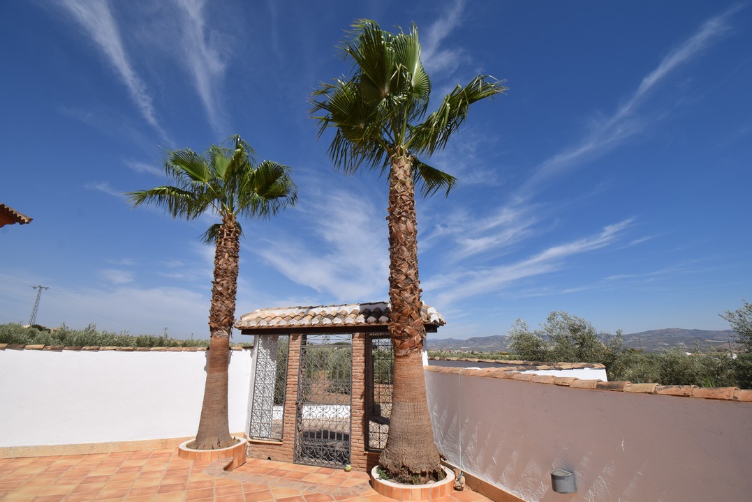 BELLISSIMA CASA DI CAMPAGNA CON MOLTO FASCINO E TANTE POSSIBILITA&#39;...