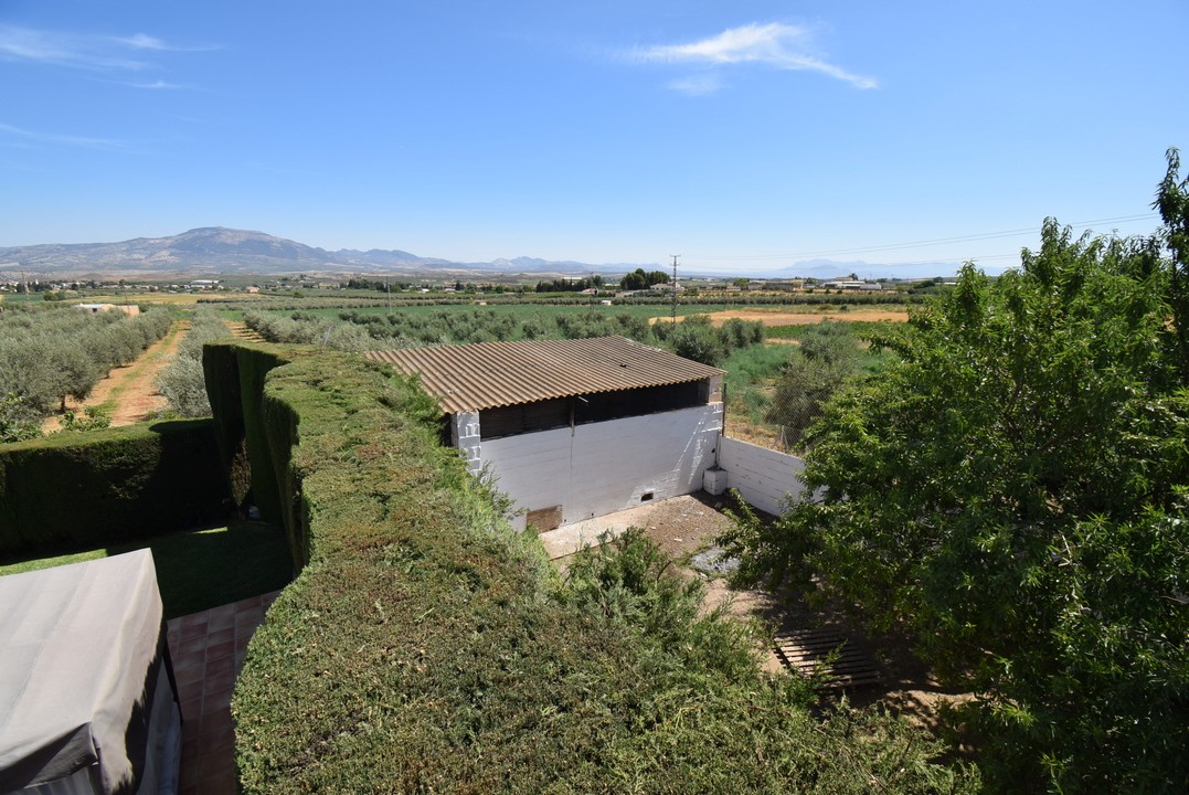 BELLISSIMA CASA DI CAMPAGNA CON MOLTO FASCINO E TANTE POSSIBILITA&#39;...