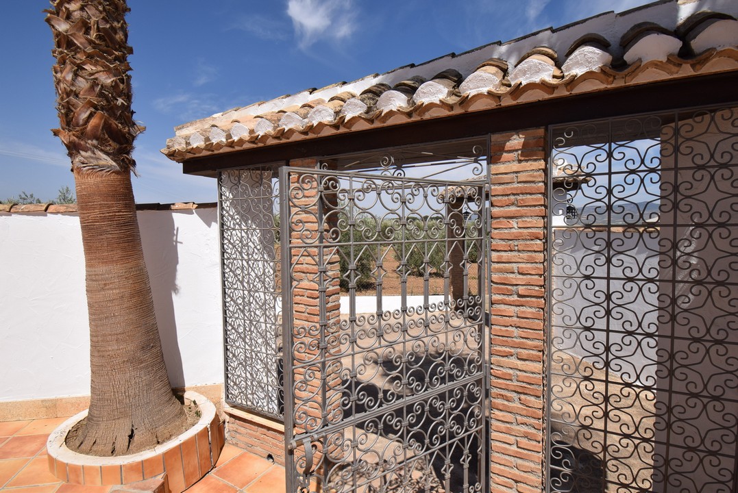 BELLISSIMA CASA DI CAMPAGNA CON MOLTO FASCINO E TANTE POSSIBILITA&#39;...