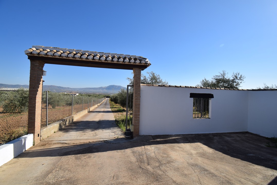 BELLISSIMA CASA DI CAMPAGNA CON MOLTO FASCINO E TANTE POSSIBILITA&#39;...