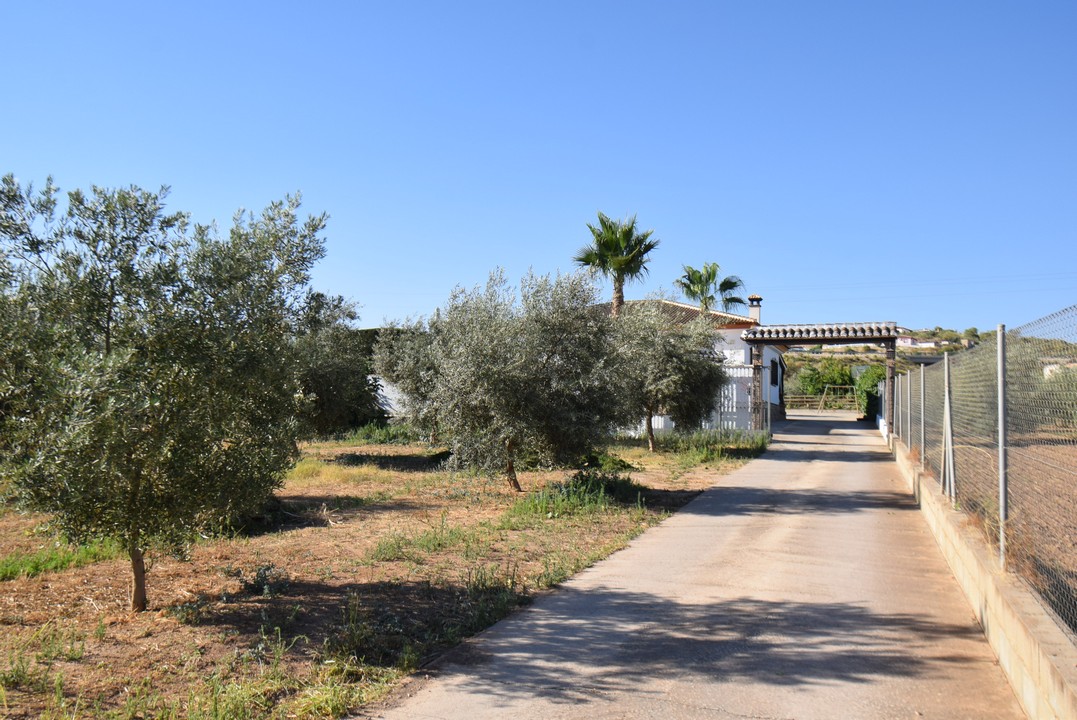 BELLISSIMA CASA DI CAMPAGNA CON MOLTO FASCINO E TANTE POSSIBILITA&#39;...