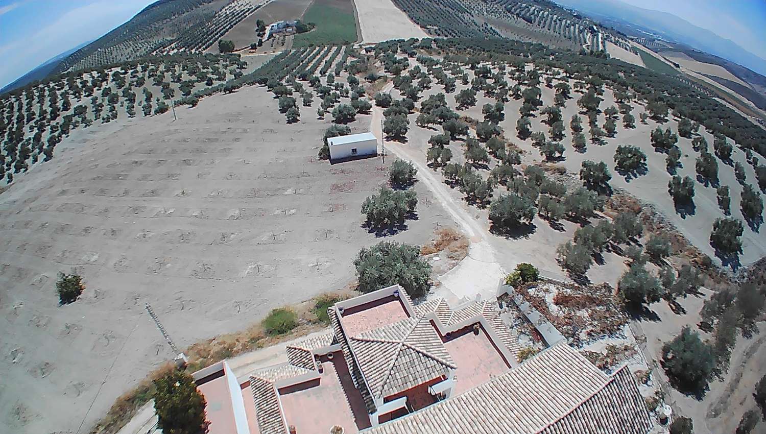 IMPRESIONANTE CORTIJO CON 5 APARTMENTOS INDEPENDIENTES