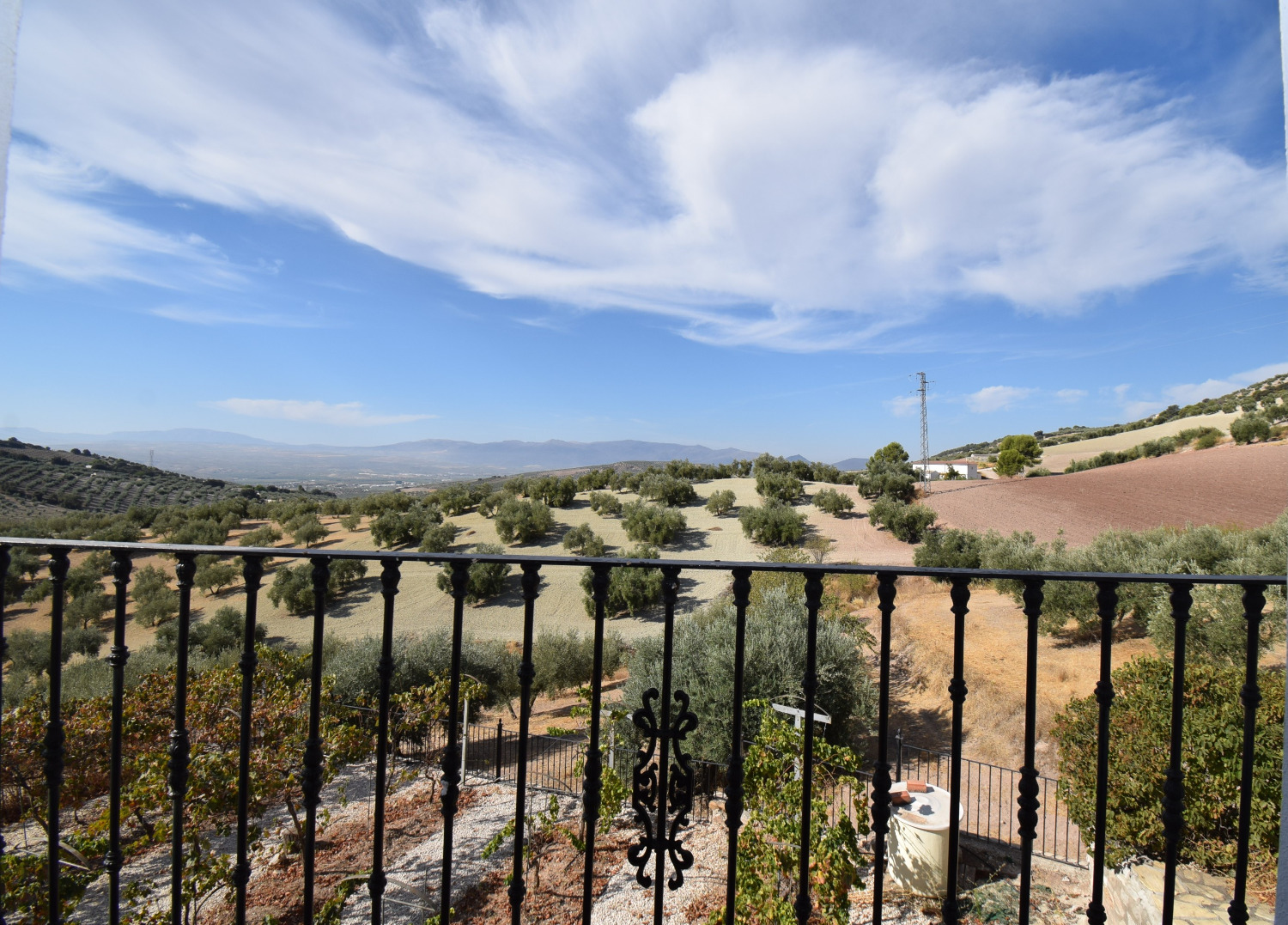 IMPRESIONANTE CORTIJO CON 5 APARTMENTOS INDEPENDIENTES