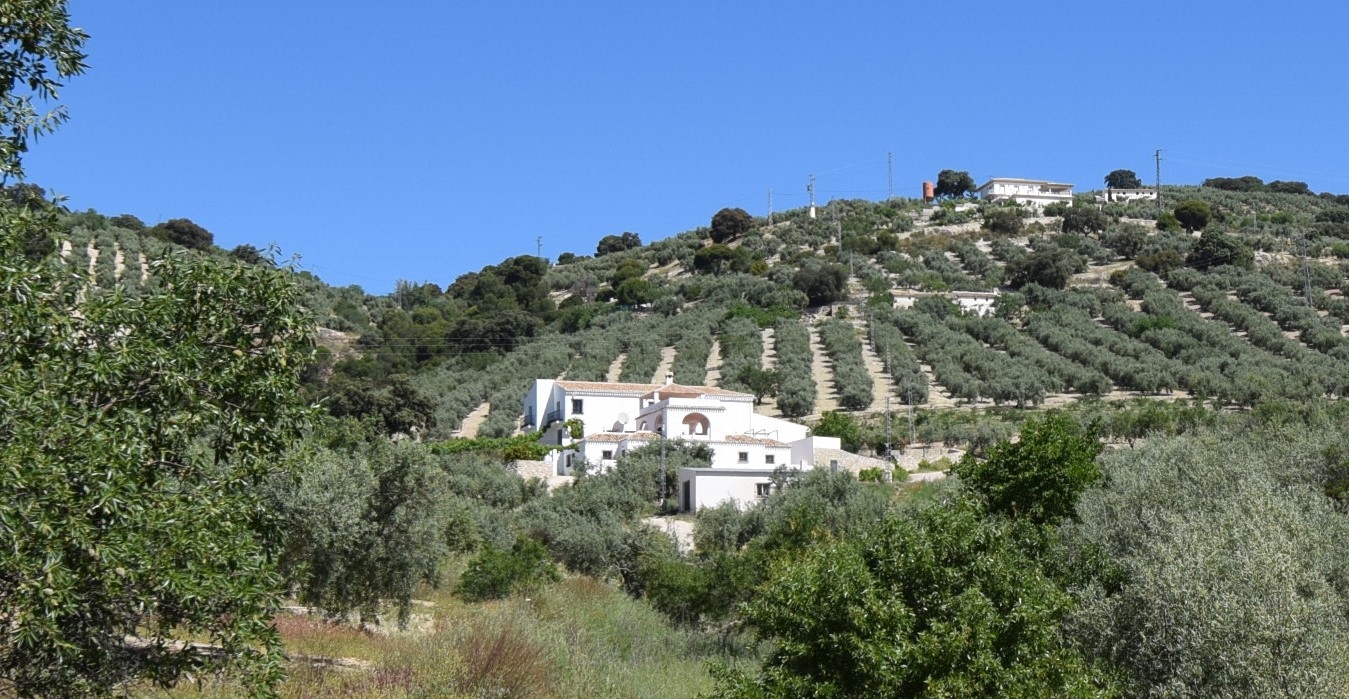 IMPRESIONANTE CORTIJO CON 5 APARTMENTOS INDEPENDIENTES