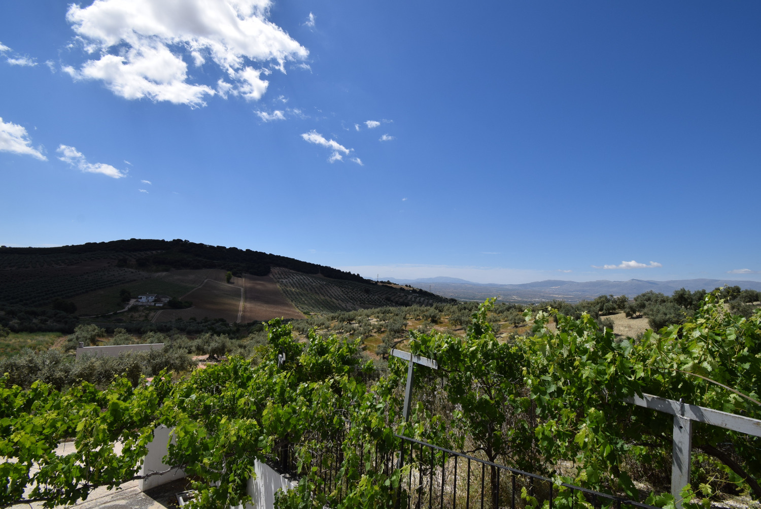 IMPRESIONANTE CORTIJO CON 5 APARTMENTOS INDEPENDIENTES