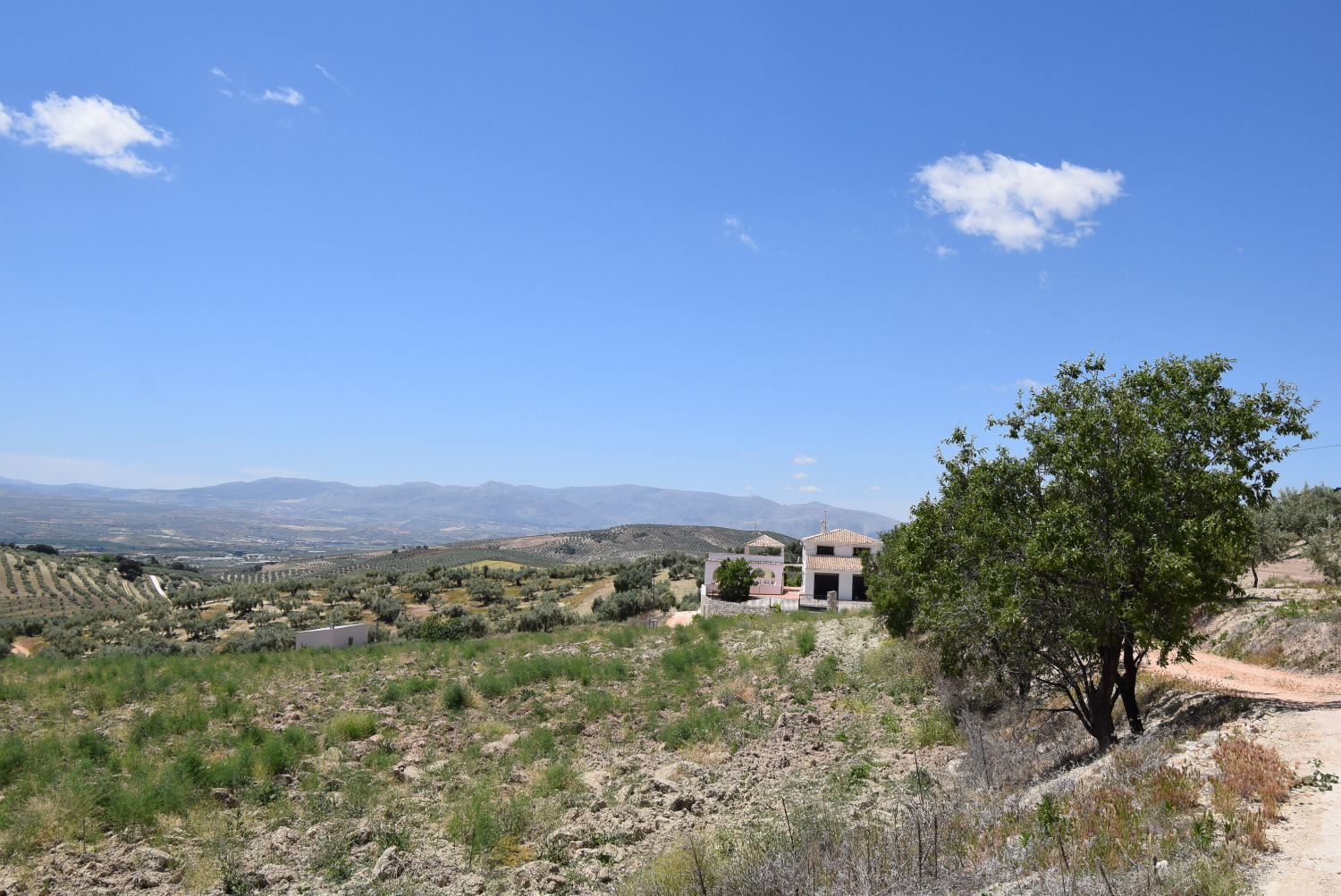 Country Property v prodeji in Montefrío