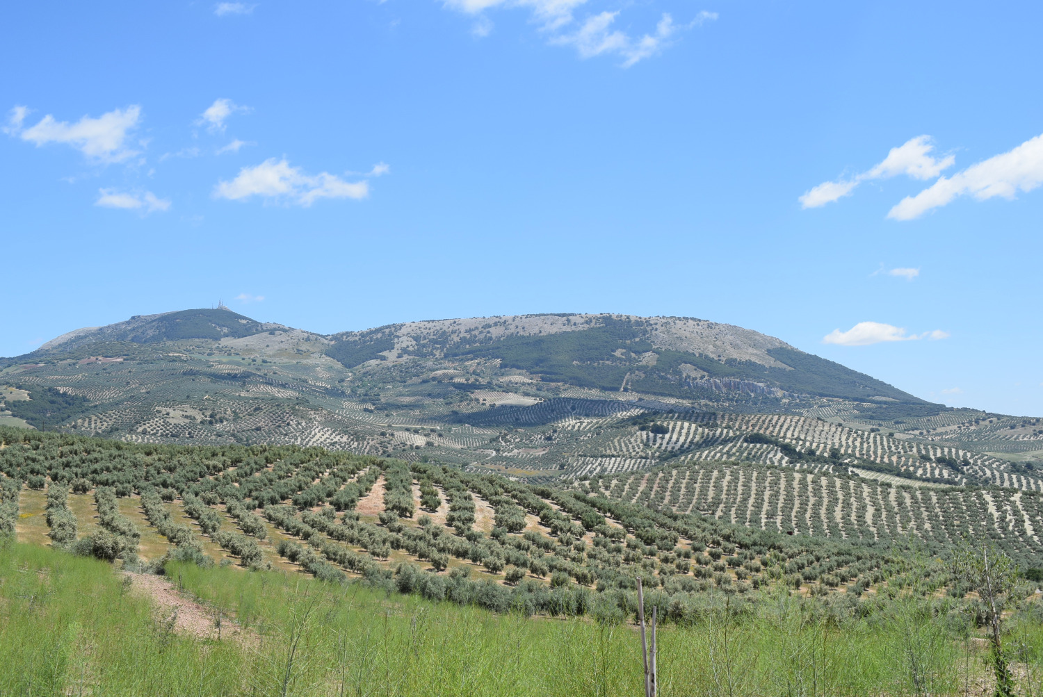 Appezzamento in vendita a Montefrío