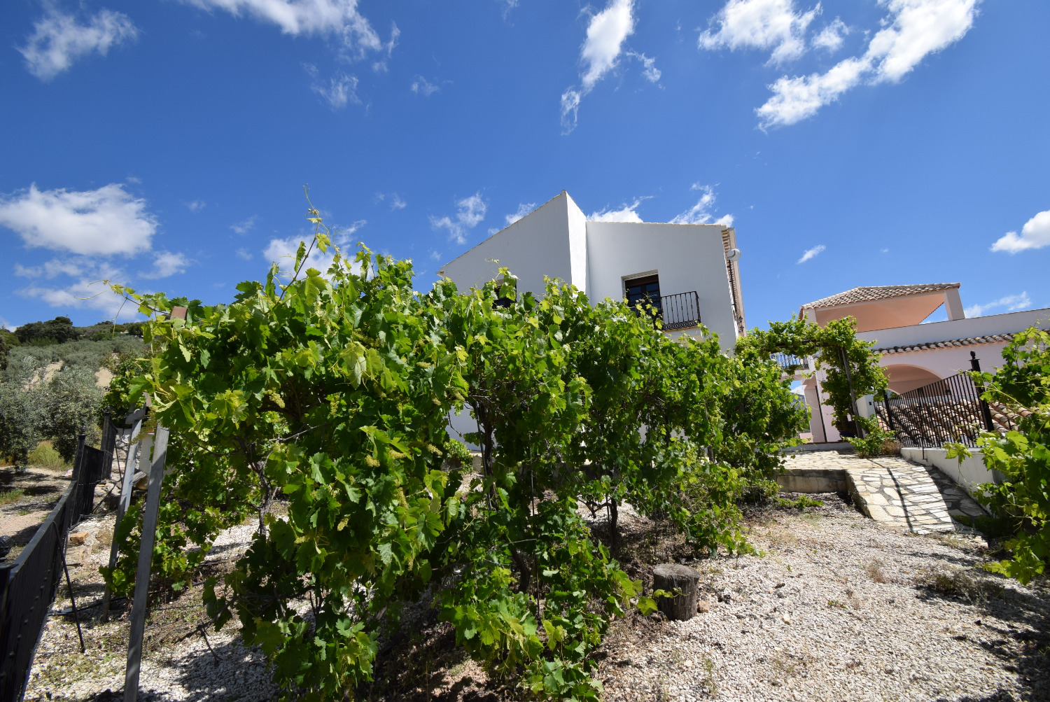 IMPRESIONANTE CORTIJO CON 5 APARTMENTOS INDEPENDIENTES