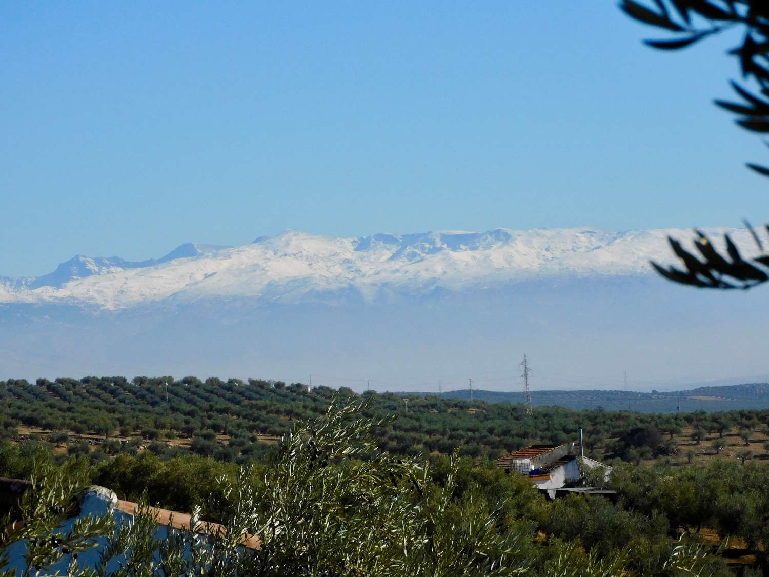 CASA DE CAMPO DE ALTAS CALIDADES, OLIVAR Y FANTÁSTICAS VISTAS