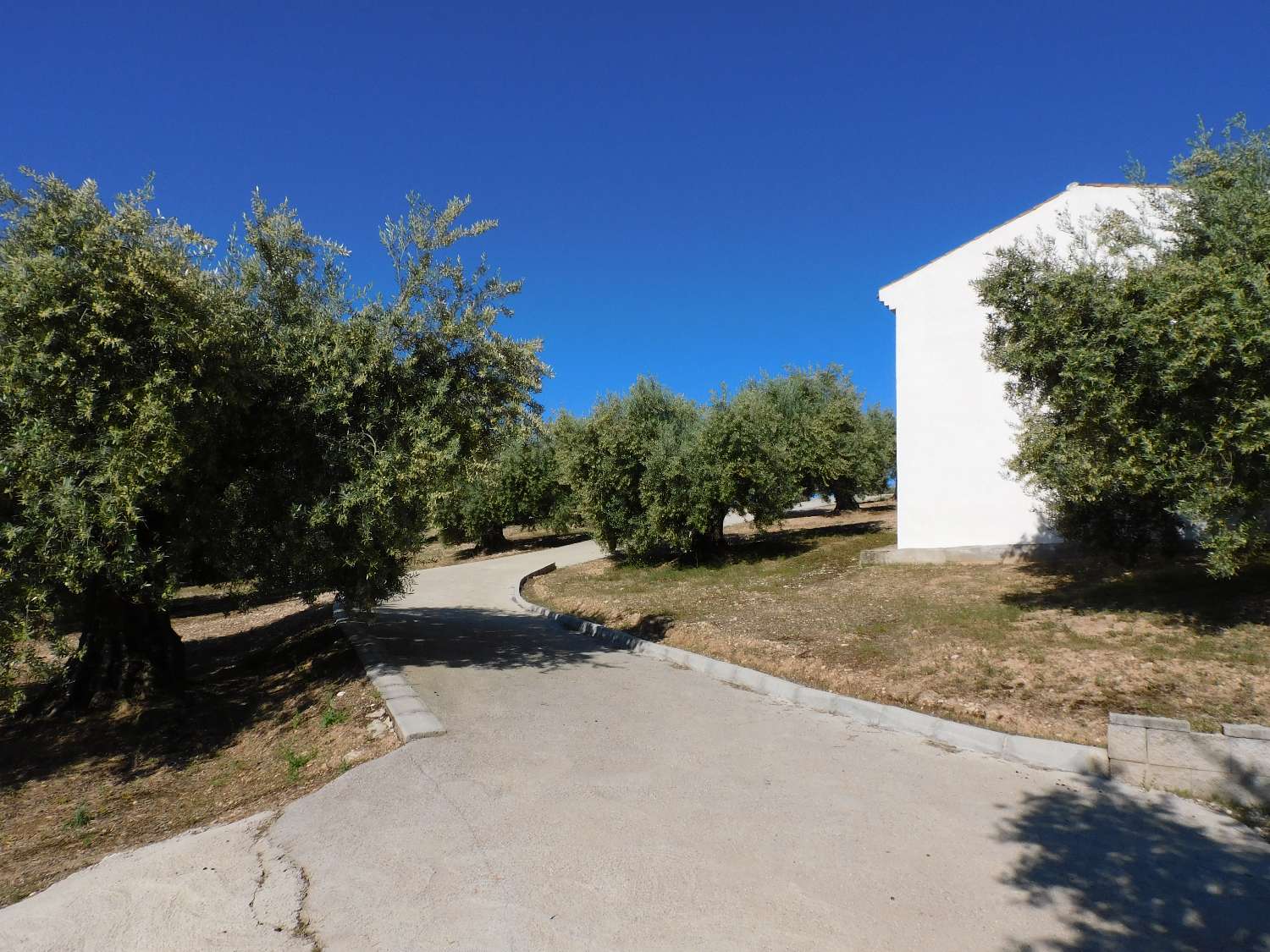 HIGH-QUALITY COUNTRY HOUSE, OLIVE GROVE AND FANTASTIC VIEWS