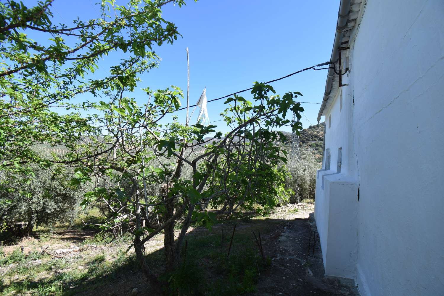 CORTIJO ANDALUZ PARA REFORMAR