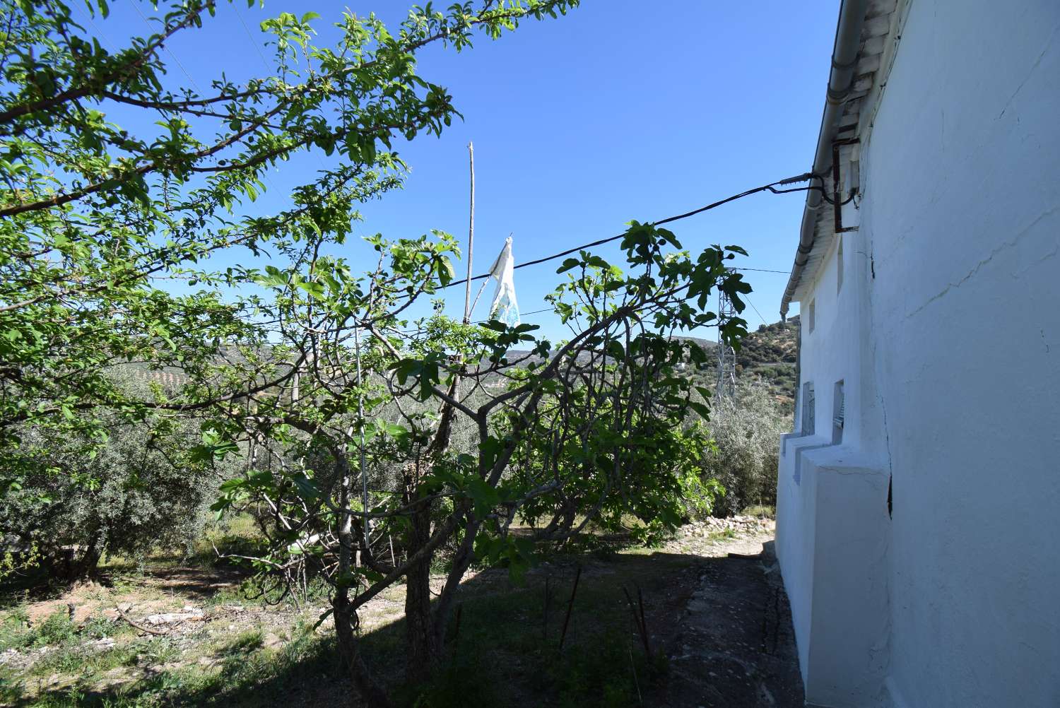 CORTIJO ANDALUZ PARA REFORMAR