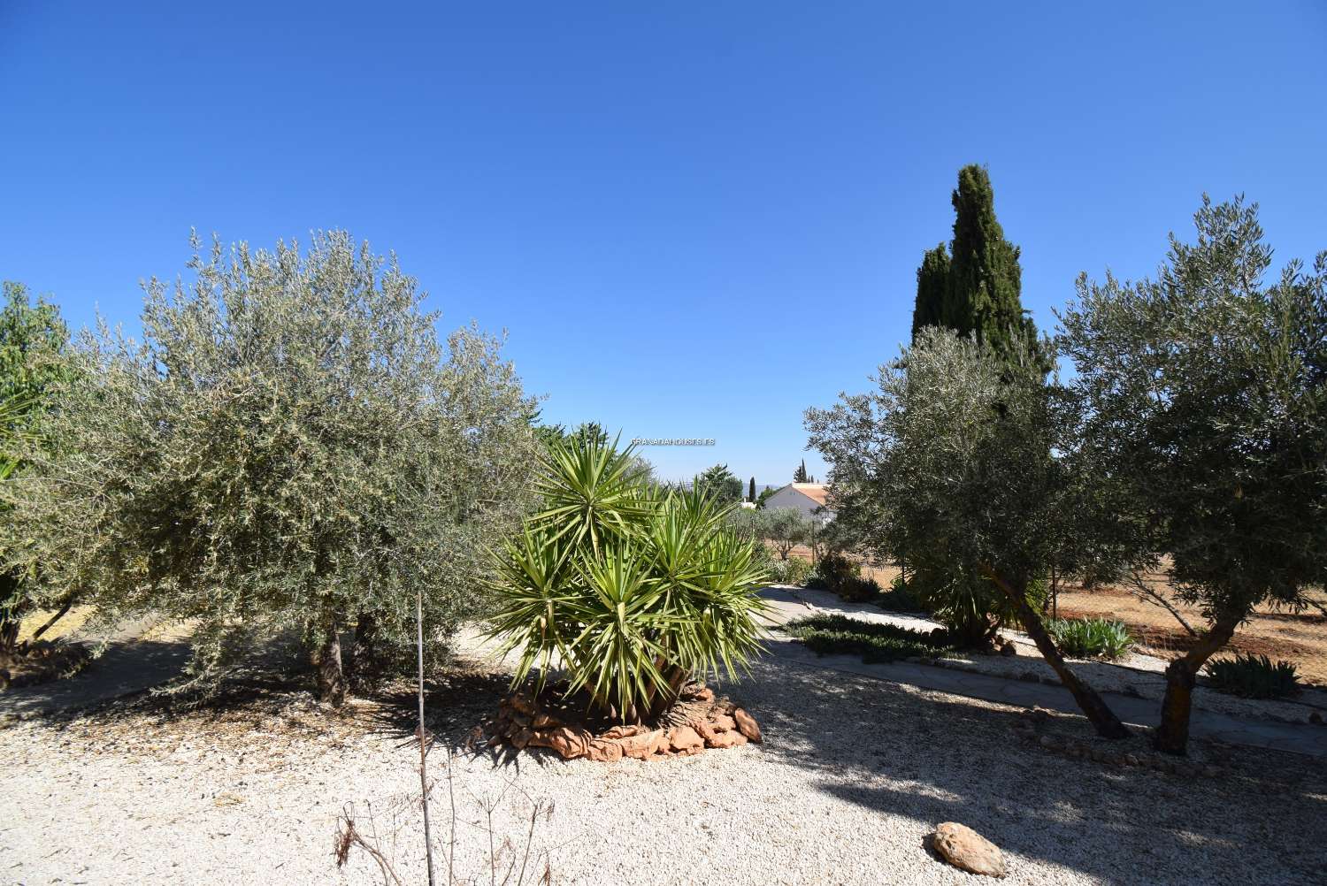 Country Property for sale in Moraleda de Zafayona, 185.000 €, Ref. MORALEDA FINCA BUNGALOW