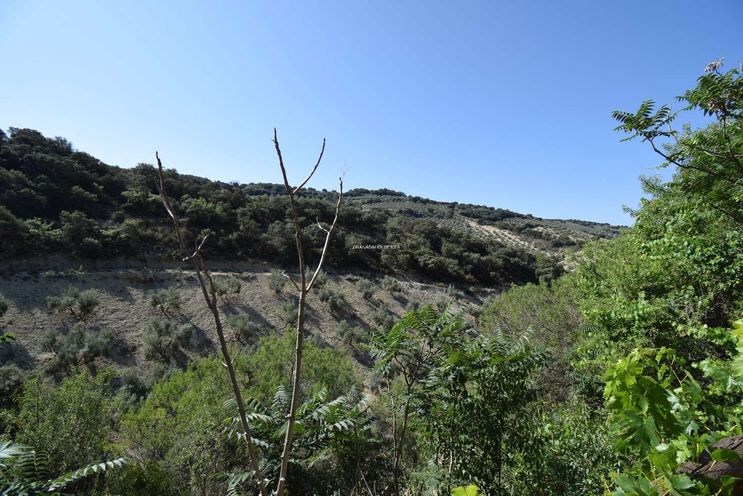 Precioso cortijo con mucho encanto y autosuficiente