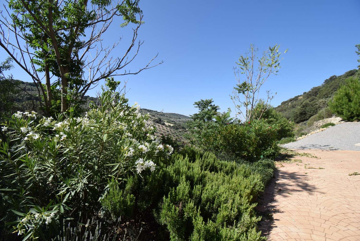 Precioso cortijo con mucho encanto y autosuficiente