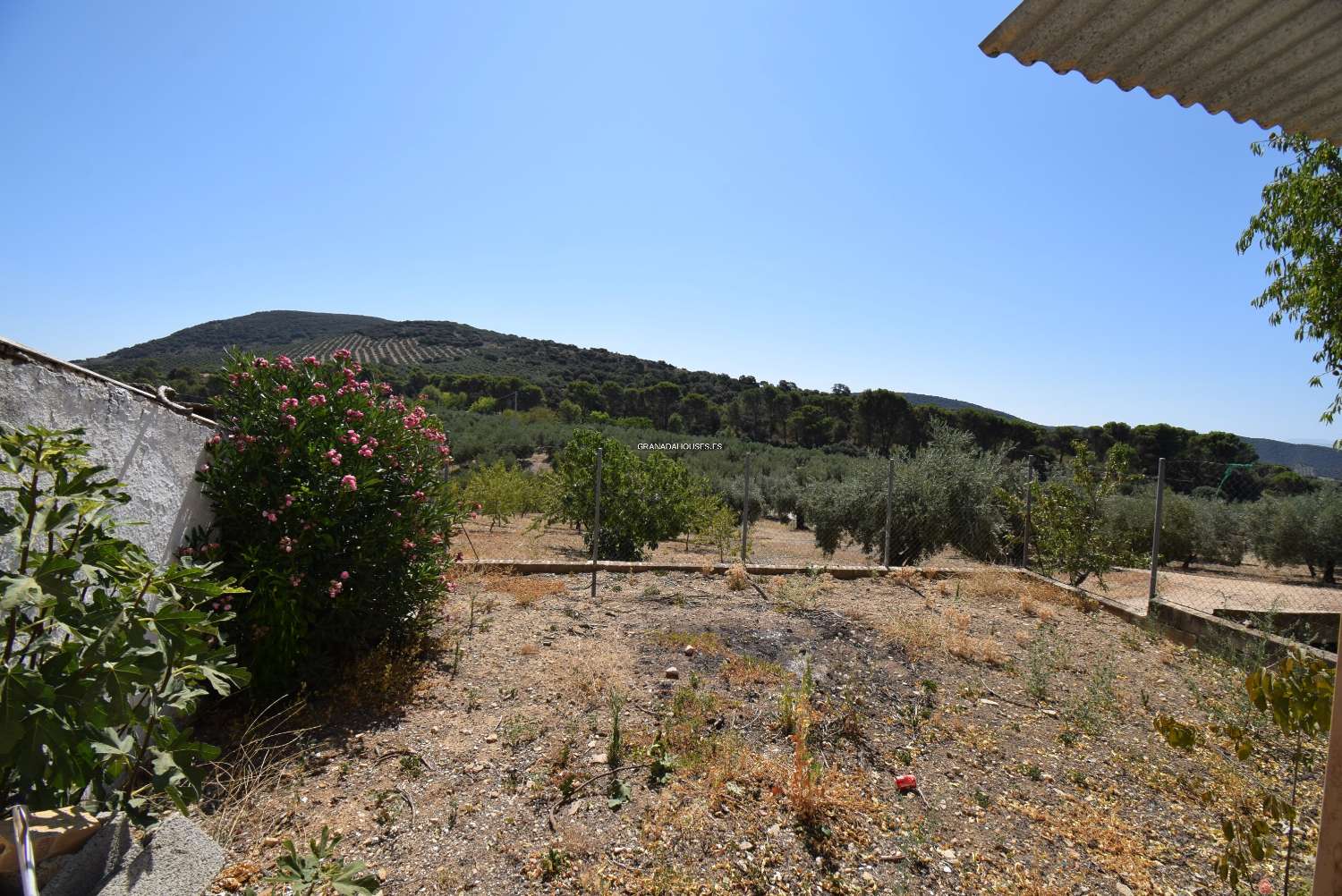 Andalusische boerderij om te hervormen