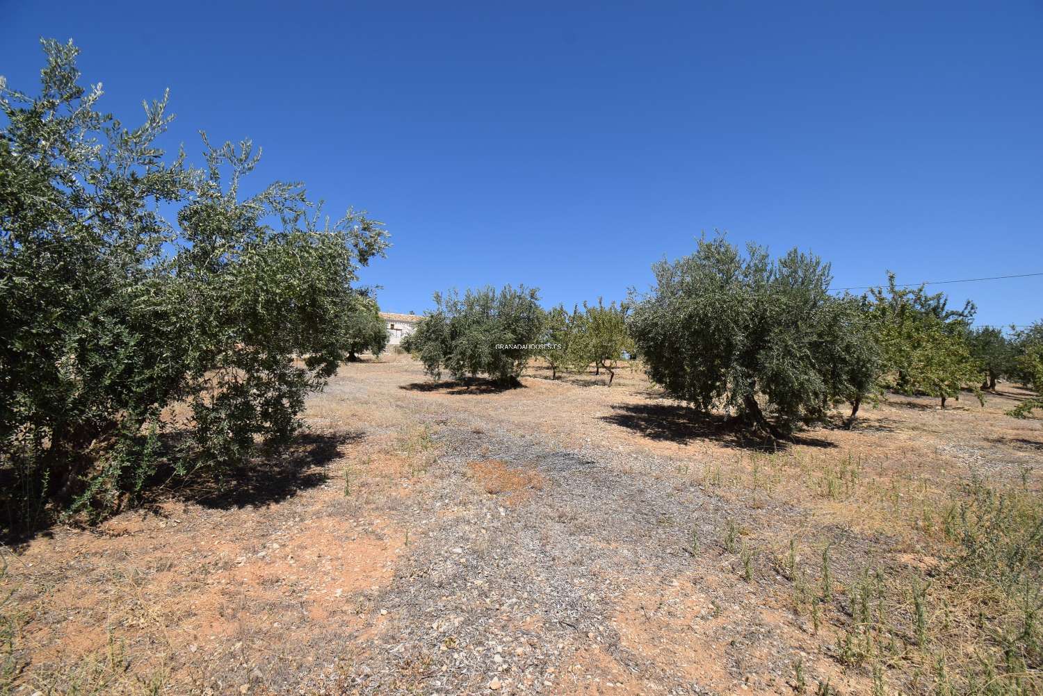 Andalusische boerderij om te hervormen